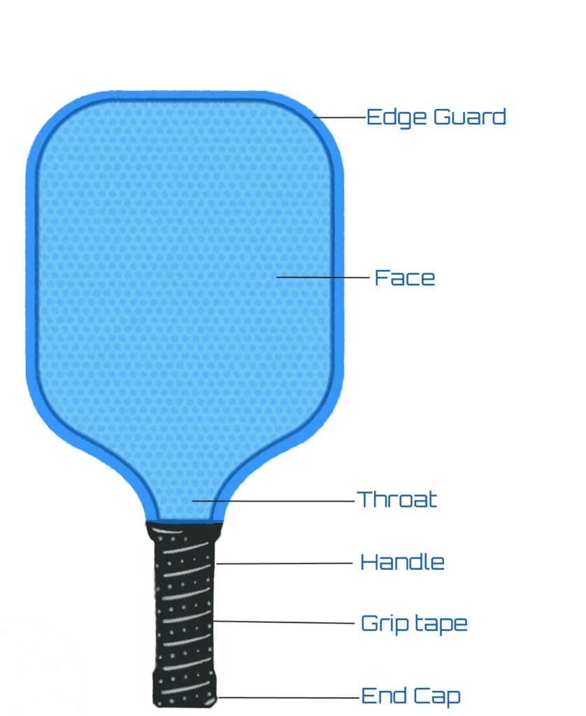 The Pickleball Paddle Explained Pickleball Fever MOMUS